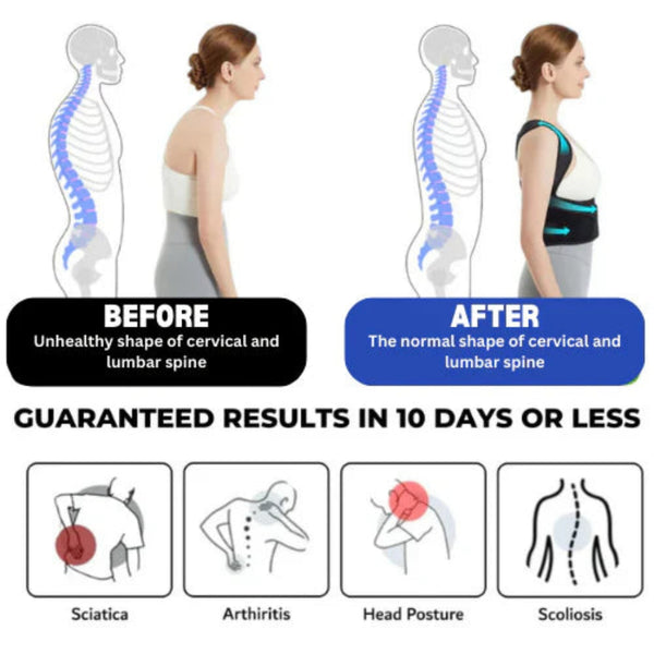 VIGOR posture and Spine Support